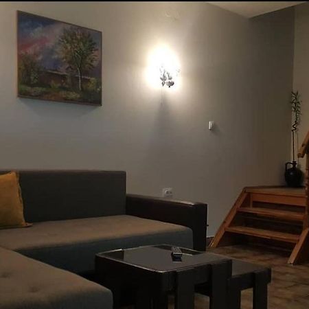 Kuca Ribarev San Βίλα Beocin Εξωτερικό φωτογραφία